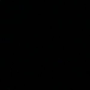 Meet your Posher, Ali